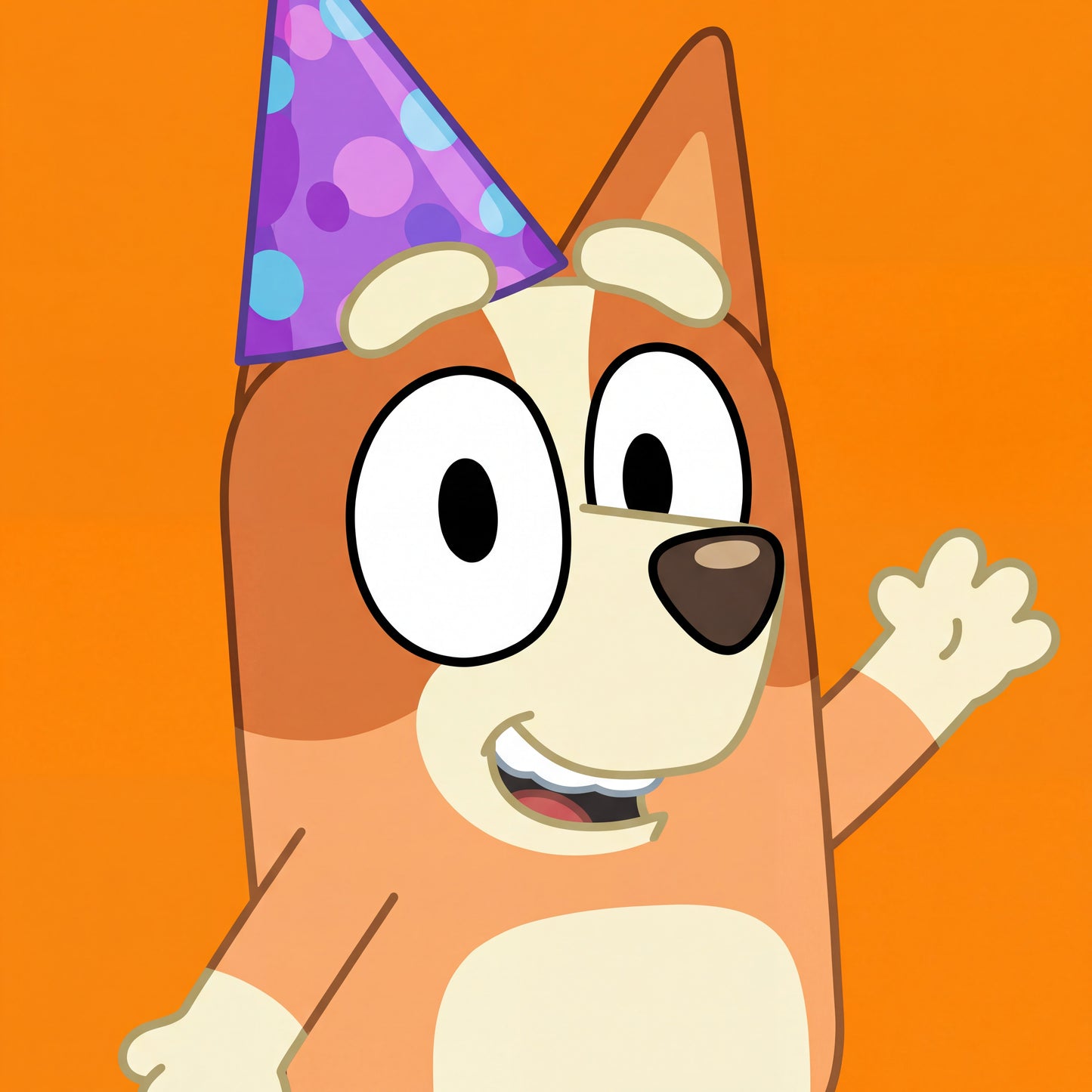 Personalised Bluey Birthday Video