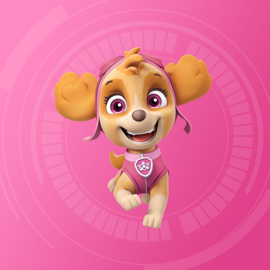 Personalised Birthday Video